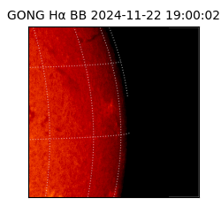 gong - 2024-11-22T19:00:02