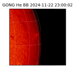 gong - 2024-11-22T23:00:02