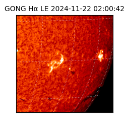 gong - 2024-11-22T02:00:42