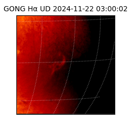 gong - 2024-11-22T03:00:02