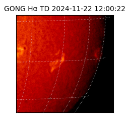 gong - 2024-11-22T12:00:22
