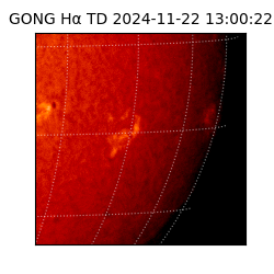 gong - 2024-11-22T13:00:22