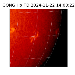 gong - 2024-11-22T14:00:22