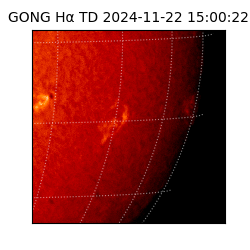 gong - 2024-11-22T15:00:22