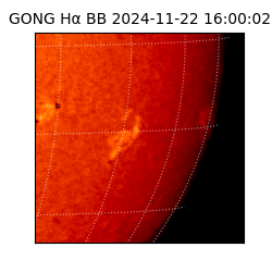gong - 2024-11-22T16:00:02