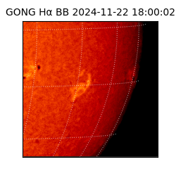 gong - 2024-11-22T18:00:02