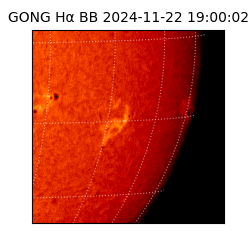 gong - 2024-11-22T19:00:02