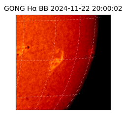 gong - 2024-11-22T20:00:02