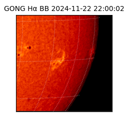 gong - 2024-11-22T22:00:02