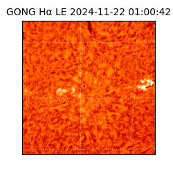 gong - 2024-11-22T01:00:42