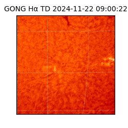 gong - 2024-11-22T09:00:22