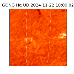 gong - 2024-11-22T10:00:02