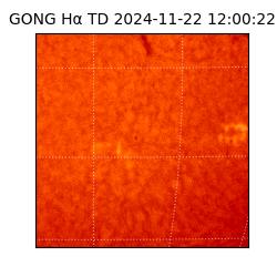 gong - 2024-11-22T12:00:22