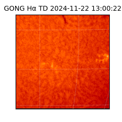 gong - 2024-11-22T13:00:22
