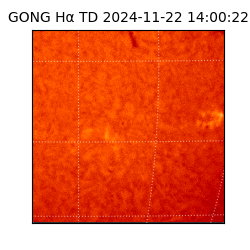 gong - 2024-11-22T14:00:22