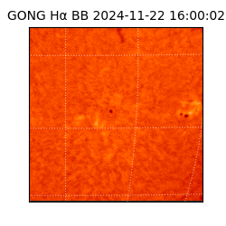 gong - 2024-11-22T16:00:02
