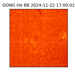 gong - 2024-11-22T17:00:02