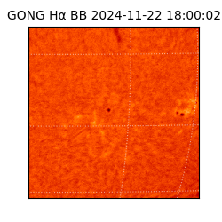 gong - 2024-11-22T18:00:02