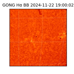 gong - 2024-11-22T19:00:02