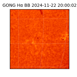 gong - 2024-11-22T20:00:02