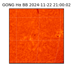 gong - 2024-11-22T21:00:02