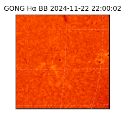 gong - 2024-11-22T22:00:02