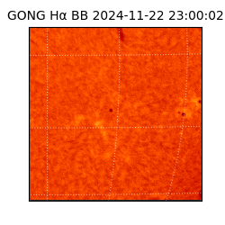 gong - 2024-11-22T23:00:02