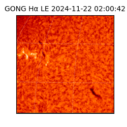 gong - 2024-11-22T02:00:42