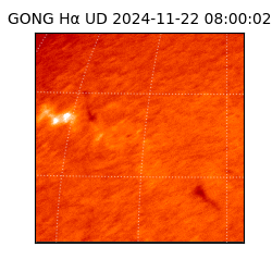 gong - 2024-11-22T08:00:02