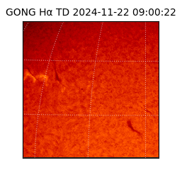 gong - 2024-11-22T09:00:22
