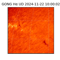 gong - 2024-11-22T10:00:02