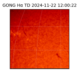 gong - 2024-11-22T12:00:22