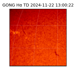 gong - 2024-11-22T13:00:22