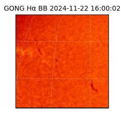 gong - 2024-11-22T16:00:02