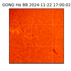 gong - 2024-11-22T17:00:02