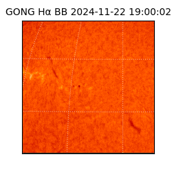 gong - 2024-11-22T19:00:02