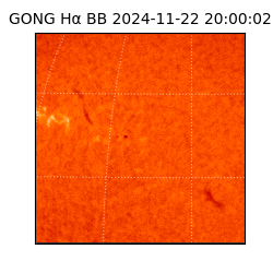 gong - 2024-11-22T20:00:02