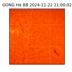 gong - 2024-11-22T21:00:02