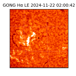 gong - 2024-11-22T02:00:42