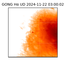 gong - 2024-11-22T03:00:02