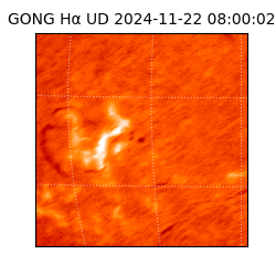 gong - 2024-11-22T08:00:02