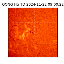 gong - 2024-11-22T09:00:22