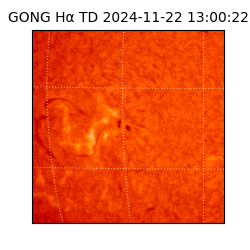 gong - 2024-11-22T13:00:22