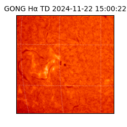 gong - 2024-11-22T15:00:22