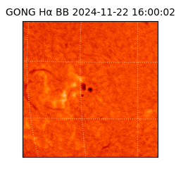 gong - 2024-11-22T16:00:02