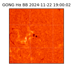 gong - 2024-11-22T19:00:02