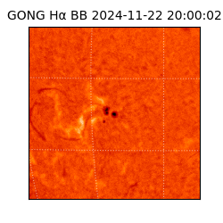 gong - 2024-11-22T20:00:02