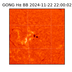 gong - 2024-11-22T22:00:02