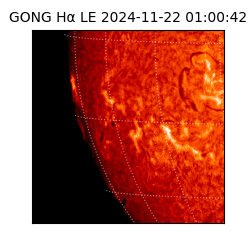 gong - 2024-11-22T01:00:42