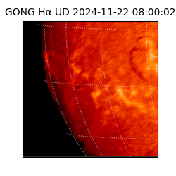 gong - 2024-11-22T08:00:02